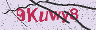 Güvenlik Kodu