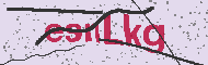 Güvenlik Kodu