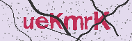 Güvenlik Kodu