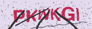 Güvenlik Kodu