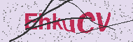 Güvenlik Kodu