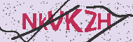 Güvenlik Kodu