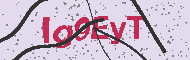 Güvenlik Kodu