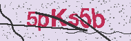 Güvenlik Kodu