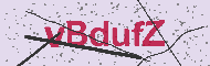 Güvenlik Kodu