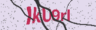Güvenlik Kodu