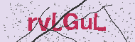 Güvenlik Kodu