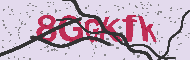 Güvenlik Kodu