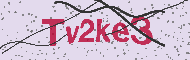 Güvenlik Kodu
