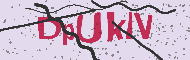 Güvenlik Kodu
